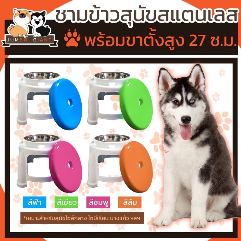 ‼️ SALE ‼️🐶ชามข้าสุนัขสแตนเลสพร้อมขาตั้งสูง🐶 พร้อมฝาปิดสีสันสดใส