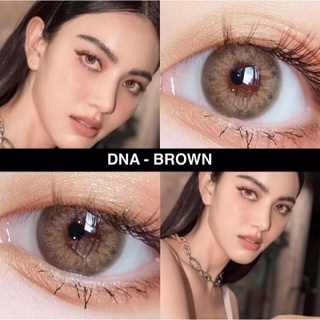 คอนแทคเลนส์ DNA BROWN ขนาดมินิเท่าตา  โทนฝอตาฝรั่งสวย