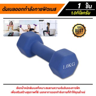 ดัมเบล Dumbbells สำหรับลดไขมันต้นแขน ออกกำลังกาย ฟิตเนส 1 Kg. 1 ชิ้น