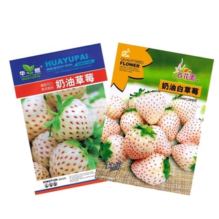 เมล็ด สตรอเบอร์รี่ขาว สตรอเบอร์รี่ White Strawberry บรรจุ 200 เมล็ด