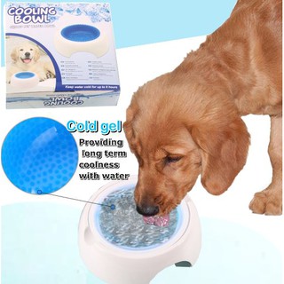 cooling bowl ถ้วยน้ำเจลเย็น สำหรับสัตว์เลี้ยง