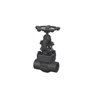 FMT 1" Globe Valve (SW/800)