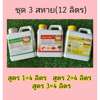 ชุด3 สหายรวม 12 ลิตร บำรุงพืชแบบอินทรีย์ชีวภาพ ปลอดภัยไร้เคมีอันตราย ปรับใช้กับพืชทุกระยะ บำรุงต้น ดอก ผล