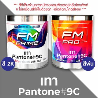 สี PANTONE 9C เทา PMS Pantone Grey 9C