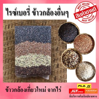 สุดคุ้ม!! ข้าวกล้อง ไรซ์เบอรี่ สินเหล็ก หอมมะลิ มันปู ข้าวกข43