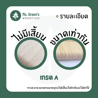 (1,000 ชิ้น) 93*10*2 มม. ไม้มน ไม้ไอติม ไม้ไอศกรีมขาว DIY ราคาถูก | Ms.Green's
