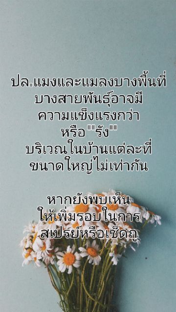 กำจัดมด กำจัดปลวก กำจัดแมลงสาบ แมงและแมลงคลาน6-8ขา ใช้ง่ายปลอดภัยกับเด็กและสัตว์เลี้ยง 500 ml. gallon ราคา ถูกที่สุด ดีลบีเคเค แกลเลอรีภาพที่ 8