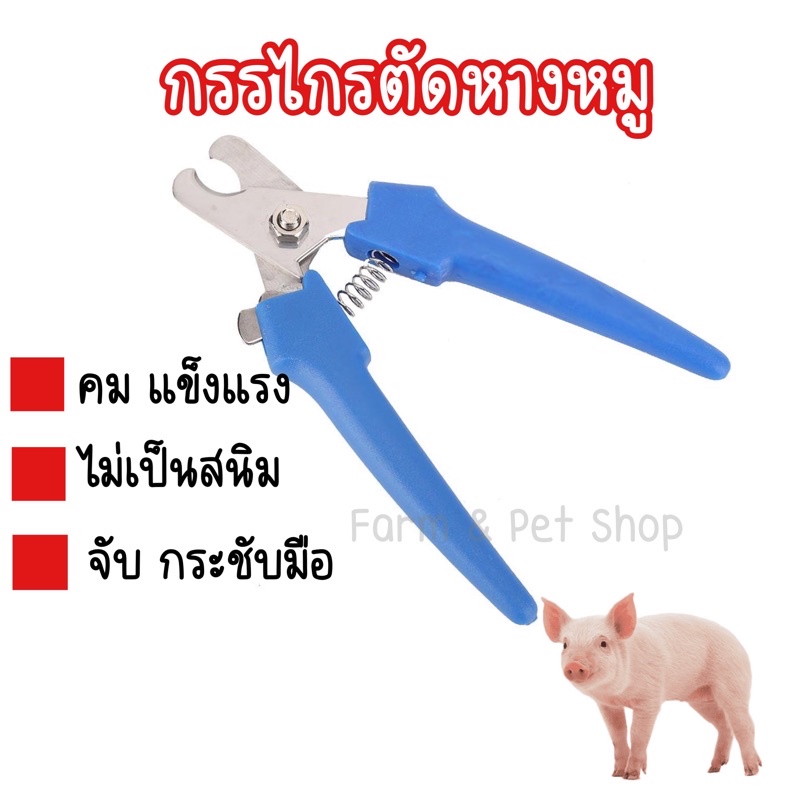 คีมตัดหางลูกหมู กรรไกรตัดหางหมู คม ตัดง่าย