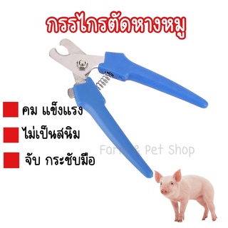 คีมตัดหางลูกหมู กรรไกรตัดหางหมู  คม ตัดง่าย