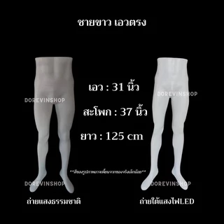 [หุ่นกางเกงยาว] หุ่นโชว์กางเกง ขายาว พลาสติก แบบตั้งโต๊ะ ชาย/หญิง สำหรับ ขายเสื้อผ้า