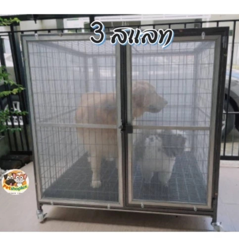 🔥8.8 กรงสุนัข ขนาดใหญ่ กรง 6 หุน2และ3แสลท,มีและไม่มีถาด, ติดมุ้งลวด 🔅มีล้อ🔅  <มีสินค้าพร้อมส่งครับ> thumbnail 10