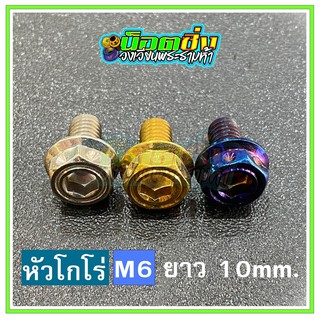 น็อตสแตนเลส หัวโกโร่ ขนาดเกลียว m6 ยาว 10 mm.