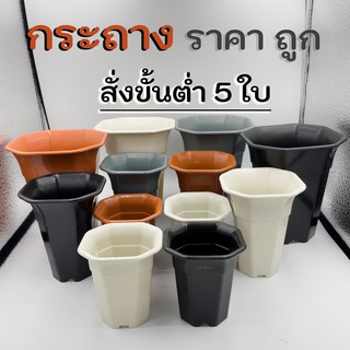 กระถางแคคตัส ทรงปากแตร ขนาด 2.5, 3 และ 4 นิ้ว