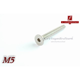 น็อตหัวจมเตเปอร์สแตนเลส M5x40