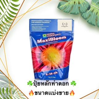 [สินค้าพร้อมจัดส่ง]Maxi Bloom (5-15-14) - GHE  (ปุ๋ยหลักทำดอก)