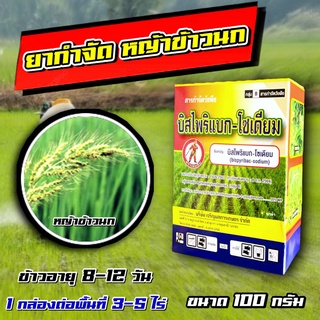 บิสไพริแบค 100 กรัม  พรีเมียร์ บิส ใบแคบ ในนาข้าว ข้าวนก กระดูกไก่ 🍀 บีสไพริแบค  โคริแบค บิสโต้ 20