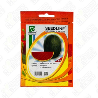 🌱 ซีดไลน์ 🇹🇭 แตงโมลูกผสม แบล็คเรด ขนาดบรรจุประมาณ 40 เมล็ด อายุเก็บเกี่ยว 65-75 วัน