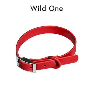 Wild One - Collar ปลอกคอสุนัข │ Strawberry✨(Limited)