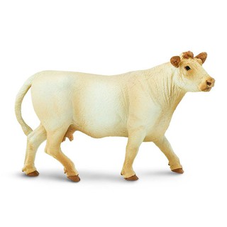 Safari Ltd. : SFR231229* โมเดลสัตว์ Charolais Cow