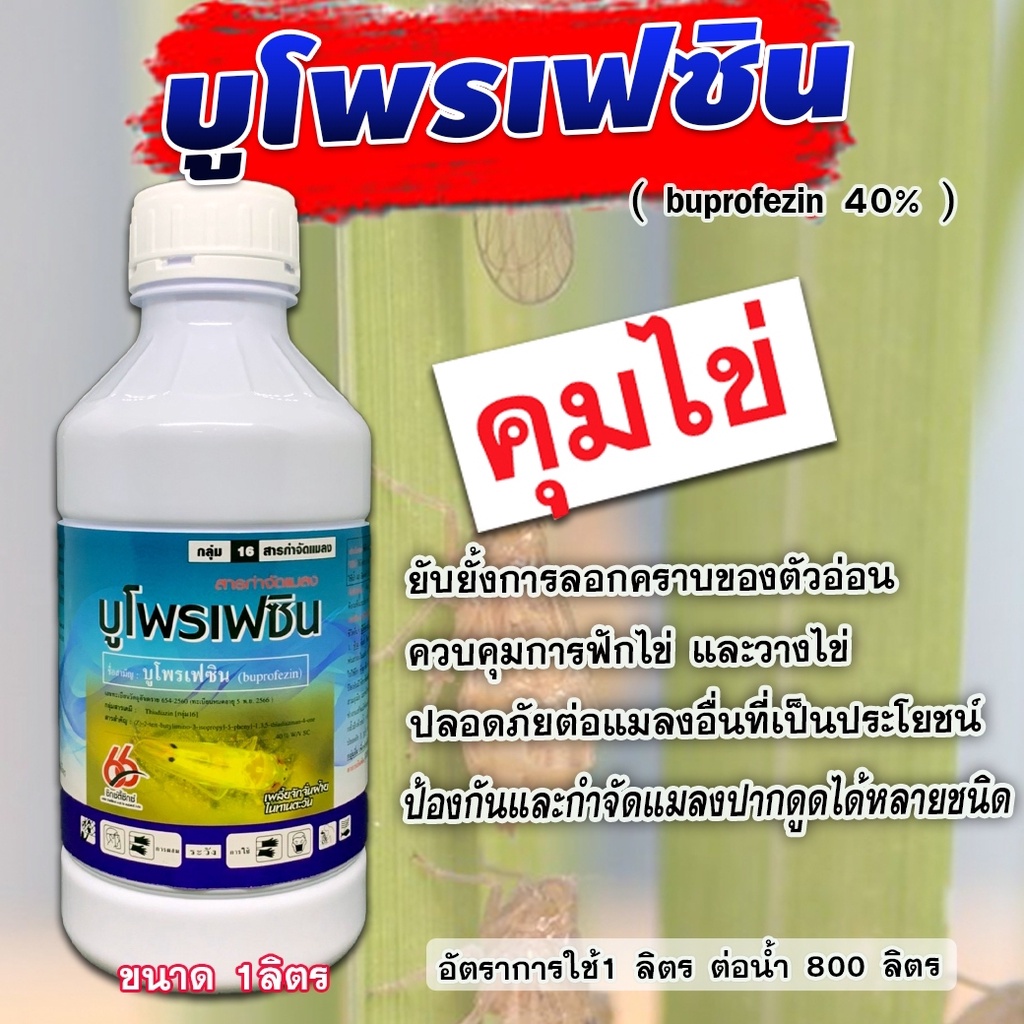 บูโพรเฟซิน 40% ยาคุมไข่ เพลี้ย ตัวอ่อน สารป้องกันและกำจัดแมลง เช่น เพลี้ยจั๊กจั่น เพลี้ยกระโดด ( ขนาด 1 ลิตร )