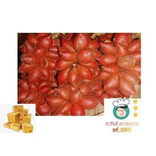 👍สละสุมาลี (หวานเจี๊ยบ) (เบอร์ช่อ)ลูกใหญ่ เนื้อหนา ส่งตรงจากสวนจังหวัดจันทบุรี สุมาลีแท้100%