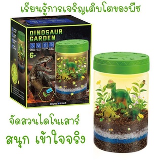 🏅Kids learning🏅DIY STEM Dinosaur Garden สวนขวดไดโนเสาร์ ปลูกต้นไม้ได้จริง มีไฟ ของเล่นแนววิทยาศาสตร์