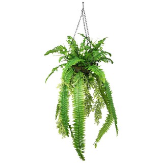 Artificial tree ARTIFICIAL FERN WITH HANGING BASKET SPRING WACH 17 Garden accessories Garden decoration accessories ต้นไ