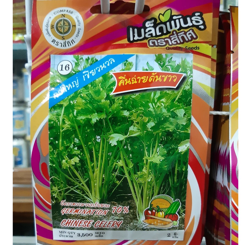 เมล็ดคึ่นฉ่าย 10 แถม 1 คละได้  คื่นฉ่าย คึ่นฉ่ายต้นขาว เมล็ดผัก เมล็ดพันธุ์ ขึ้นฉ่าย