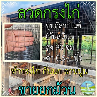 ตาข่ายลวด ขายยกม้วน ขนาดตา 1/2,3/4,1 นิ้ว สูง 90 เซน กรงไก่ ลวดเหล็ก รั้วตาข่าย ลวดตาข่าย กันนกพิราบ กันนก กันงู