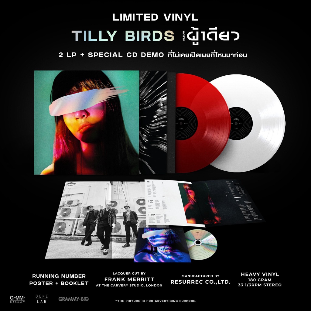 Vinyl แผ่นเสียง Tilly Birds อัลบั้ม ผู้เดียว มือ1 แผ่นซีล