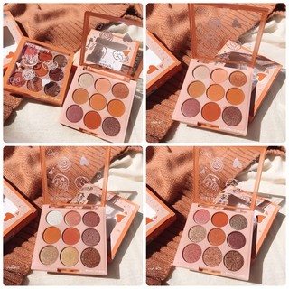 KISS BEAUTY  EYELUX 9 C EYESHADOW /ทาตาโทนส้ม 9 สี 9 ช่อง