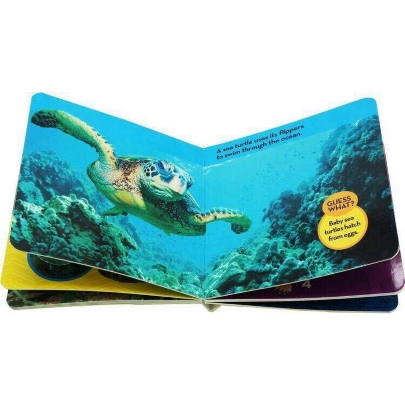 หนังสือบอร์ดบุ๊คสำหรับเด็ก National Geographic Kids Look & Learn เซต 12 เล่ม - รูปที่ 2