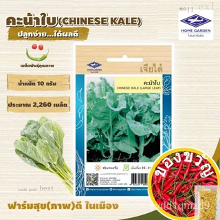 CHIATAI  ผักซอง เจียไต๋ คะน้าใบ O009 ประมาณ 2,260 เมล็ด คะน้า เมล็ดพันธุ์ผัก เมล็ดผัก เมล็ดพืช ผักสวนครัว 5ONZ