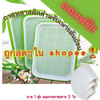 ถาดพลาสติกสำหรับเพาะต้นอ่อน ผักไมโครกรีน Microgreen Tray ถั่วเขียว ทานตะวัน โต้วเหมี่ยว ต้นกล้า เมล็ดพันธุ์ พร้อมขาย