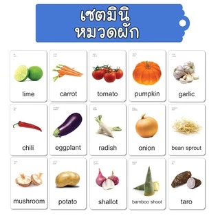 แยกขาย15หมวดย่อย Flashcards บัตรคำศัพท์ แฟลชการ์ด ขนาด7x10cm หนา360แกรม