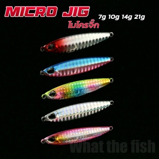 เหยื่อไมโครจิ๊ก 7g 10g 14g 21g เหยื่อตกปลา ไมโครจิ๊ก เหยื่อไมโครจิ๊ก Micro jig เหยื่อจิ๊ก ไมโคจิ๊ก ไมโคจิก R56