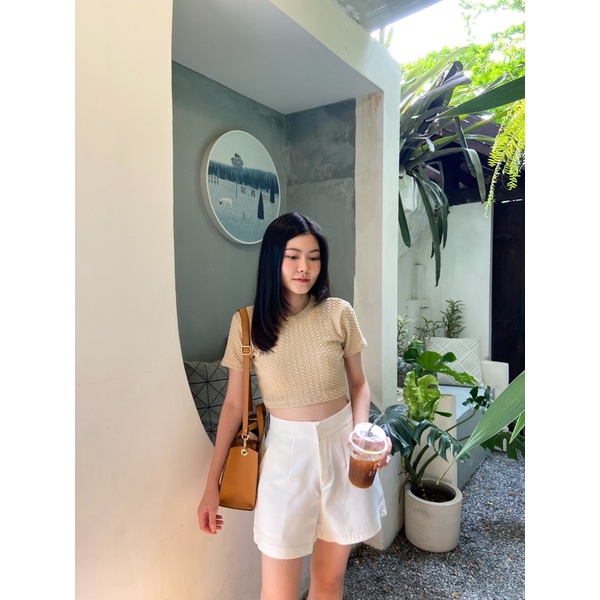 T02   -  Biscuit top