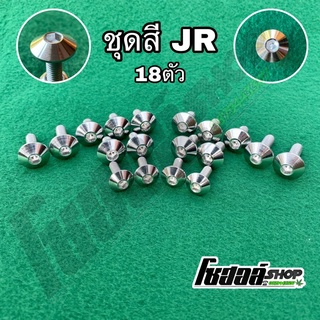 น็อตชุดสี JR120 เจอา สแตนเลสแท้ 18ตัว (หัวเรียบเงาๆ)