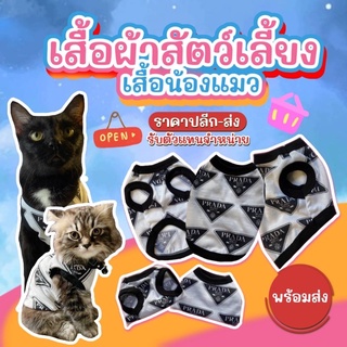 ขายส่งยกโหล🔥ราคาถูก‼️เสื้อผ้าสัตว์เลี้ยงเสื้อสุนัขแมว