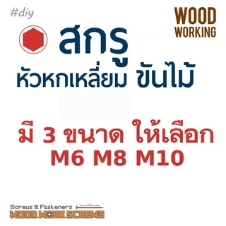 [6-10ตัว] น๊อตหัวหกเหลี่ยมขันไม้ M6 M8 เกลียวหยาบ งานไม้ ปลายแหลม เสา คาน บันได งานหนัก [6-10pcs]. Hex Head Lag Screw
