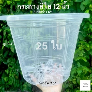 Little กระถางต้นไม้ 12 นิ้ว 25 ใบ(ดำเงาA+🖤) (สีขาวออร่าA+🤍)(สีอิฐ🧱)(สีใสA+💎)(Air pot🍀)