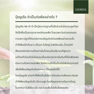 500G/1KG ปุ๋ยยูเรีย 46-0-0 (แม่ปุ๋ยไนโตรเจน) ยูเรีย / Urea (46-0-0) - Chemrich