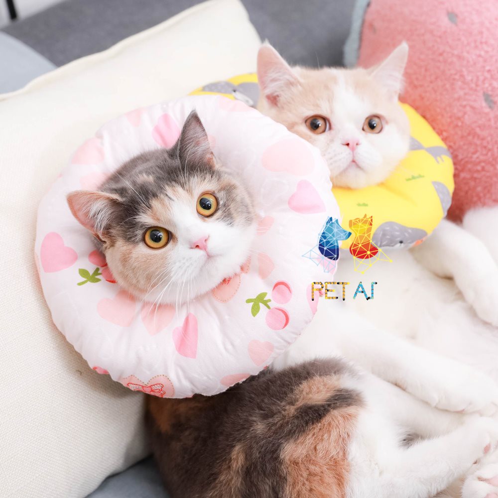 สินค้าขายดี สินยอดฮิต คอลล่าโดนัท คอลล่าแมว ปลอกคอสัตว์เลี้ยง คละลาย