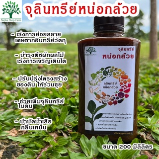 หัวเชื้อจุลินทรีย์หน่อกล้วย ขนาด 200 มิลลิลิตร คุณภาพเข้มข้น