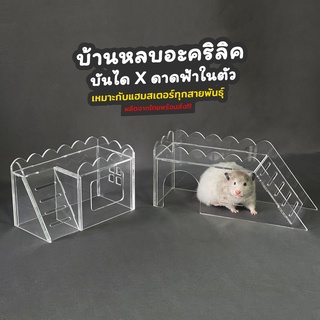 บ้านหลบแฮมสเตอร์ บ้านด้าดฟ้าพร้อมบันได Hamster