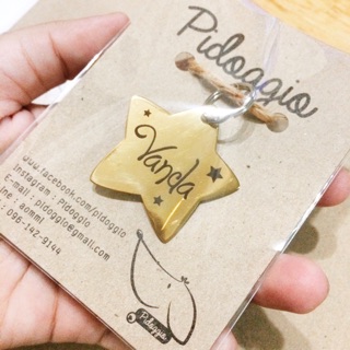 Pet Tag สแตนเลสสีทอง