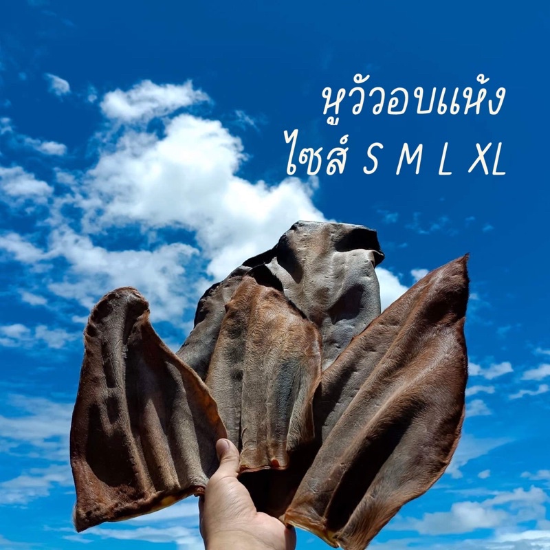 เติมสต็อกแล้ว*หูวัวอบแห้ง ขนมสำหรับสุนัขทุกสายพันธุ์ ชิ้นใหญ่คุ้มค่า