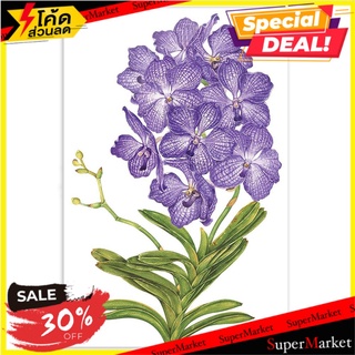 สติ๊กเกอร์ลอกน้ำ DIY HOME L&amp;S ORCHID 34X47 ซม. สติ๊กเกอร์ DIY WALL DECAL HOME L&amp;S ORCHID 34X47CM