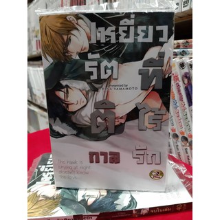 การ์ตูนวาย หนังสือการ์ตูนวาย เรื่อง เหยี่ยวรัตติกาลที่ไร้รัก  เล่มเดียวจบ