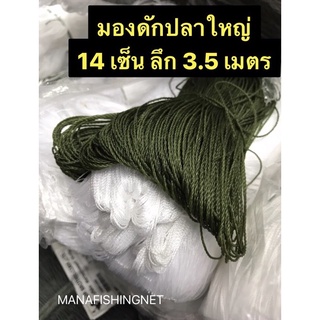 มองดักปลาใหญ่  #อวนด้าย  เหนียวมาก 📌ตา 14 เซ็น ลึก 3.5 เมตร ป้ายยาว 100 เมตร #ดางดักปลา #ข่ายดักปลาใหญ่